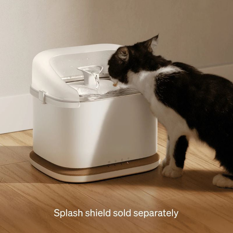 Smart Camera Feeder & Dockstream 2 Smart Pet Water Fountain