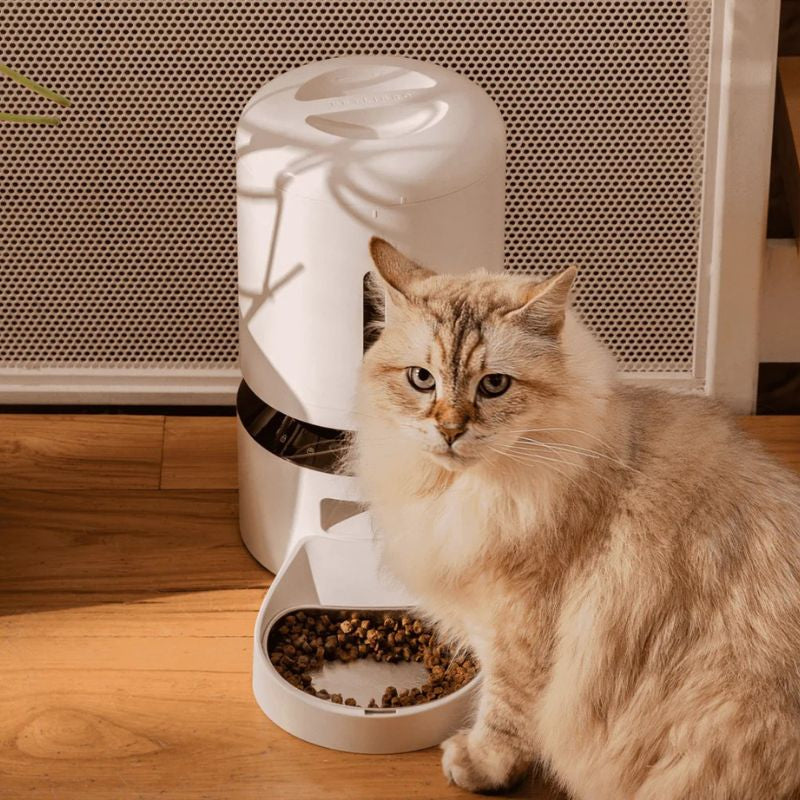 Smart Camera Feeder & Dockstream 2 Smart Pet Water Fountain