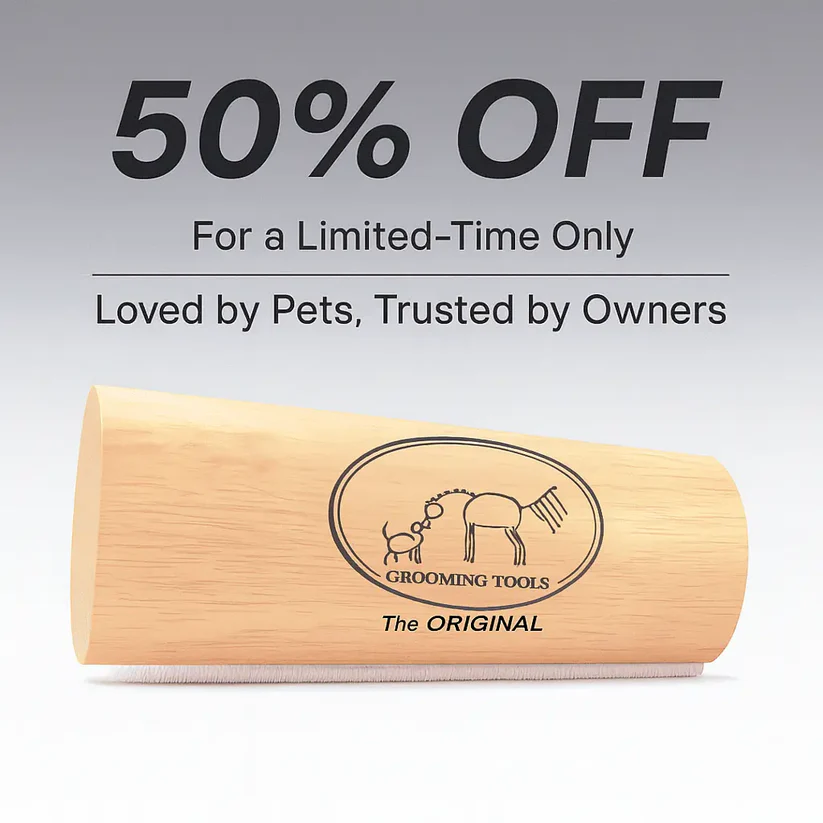 Pet DeShedding Brush
